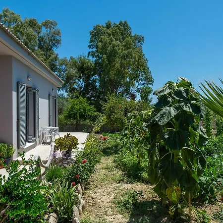Avesta Holiday Πλάνος